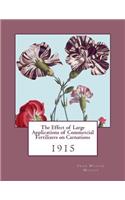 Effect of Large Applications of Commercial Fertilizers on Carnations