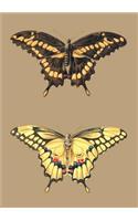 Carnet Ligné, Papillons Cresphontes