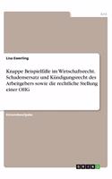 Knappe Beispielfälle im Wirtschaftsrecht. Schadensersatz und Kündigungsrecht des Arbeitgebers sowie die rechtliche Stellung einer OHG