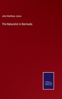 Naturalist in Bermuda