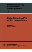 Light Reaction Path of Photosynthesis