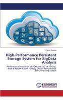 High-Performance Persistent Storage System for BigData Analysis