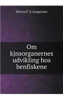 Om kjnsorganernes udvikling hos benfiskene: (Danish)