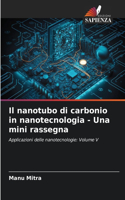 nanotubo di carbonio in nanotecnologia - Una mini rassegna