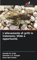 L'allevamento di grilli in Indonesia: Sfide e opportunità