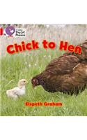 Chick to Hen