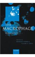 The Macrophage