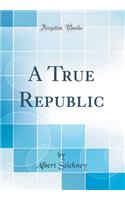 A True Republic (Classic Reprint)