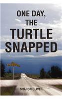 One Day, the Turtle Snapped: (English)