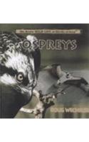 Ospreys