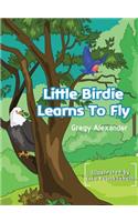 Little Birdie learns to fly