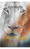 Animal Coloring Pages