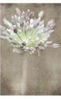 Allium Whispers Journal