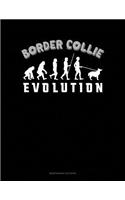 Border Collie Evolution