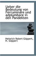 Ueber Die Bedeutung Von Ferruminare Und Adplumbare in Den Pandekten