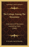 Cottage Among The Mountains: A Narrative Of Peculiarly Interesting Facts (1840)