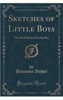 Sketches of Little Boys: The Well-Behaved Little Boy (Classic Reprint)