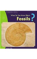 What Do You Know about Fossils?: (20 Questions: Science)