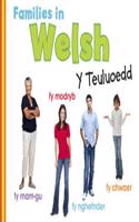 Families in Welsh