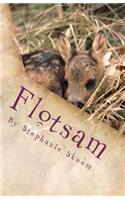 Flotsam