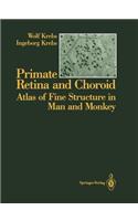 Primate Retina and Choroid