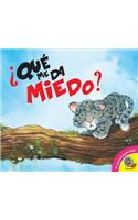 ¿Qué Me Da Miedo?