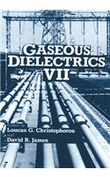 Gaseous Dielectrics VII
