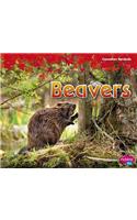 Beavers