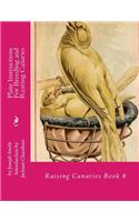 Plain Instructions For Breeding and Rearing Canaries: Raising Canaries Book 8(8 Raising Canaries)