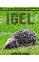 Igel