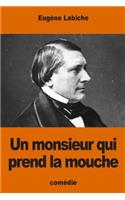 Un monsieur qui prend la mouche: (French)