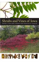 Shrubs and Vines of Iowa