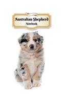 Australian Shepherd Notebook: Puppy - Composition Book 150 pages 8.5 x 11 in. - College Ruled - Writing Notebook - Lined Paper - Soft Cover - Plain Journal