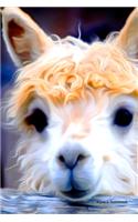 Alpaca Notebook: A5 Lined Notepad - Journal for Women, Men, Teens and Kids. A Beautiful Gift Idea for Animal Lover