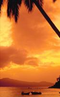 2020 Weekly Planner Palm Tree Over Water 134 Pages: 2020 Planners Calendars Organizers Datebooks Appointment Books Agendas
