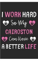 I Work Hard So My Cairoston Can Have A Better Life