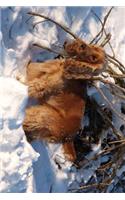 Cocker Spaniel in the Snow Journal: Take Notes, Write Down Memories in this 150 Page Lined Journa