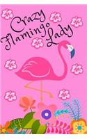 Diary 2019: Crazy Flamingo Lady Monthly and Week-To-View Planner