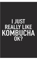 I Just Really Like Kombucha Ok?