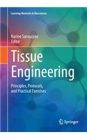 Tissue Engineering