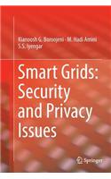 Smart Grids: Security and Privacy Issues