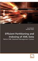 Efficient Partitioning and Indexing of XML Data