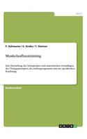 Muskelaufbautraining