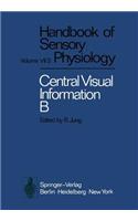 Visual Centers in the Brain