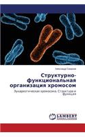 Strukturno-Funktsional'naya Organizatsiya Khromosom