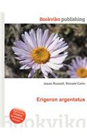 Erigeron Argentatus