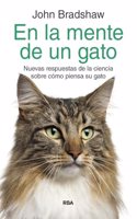 En la mente de un gato: Nuevas respuestas de la ciencia sobre como piensa su gato