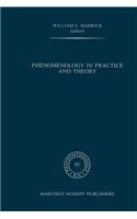 Phenomenology in Practice and Theory