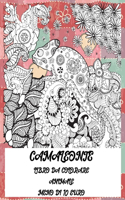 Libro da colorare - Meno di 10 euro - Animale - Camaleonte