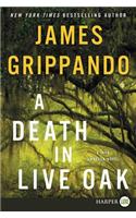 A Death In Live Oak [Large Print]: A Jack Swyteck Novel(15 Jack Swyteck)